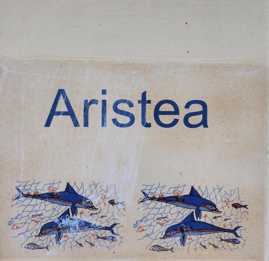Aristea Studios Káto Korakiána Kültér fotó