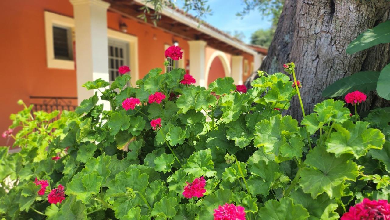 Aristea Studios Káto Korakiána Kültér fotó